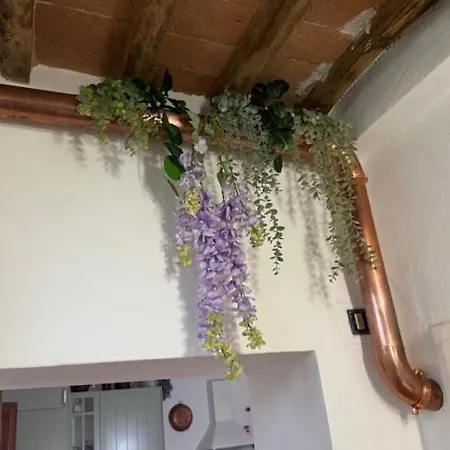 Holiday home Casa Del Glicine - In Palazzo Storico Pugnano